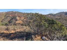  Land for sale in Chile, Quilpue, Valparaiso, Valparaiso, Chile