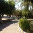  Grundstück zu verkaufen in Cuernavaca, Morelos, Cuernavaca, Morelos
