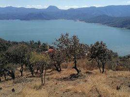  Grundstück zu verkaufen in Valle De Bravo, Mexico, Valle De Bravo