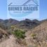  Land for sale in Badiraguato, Sinaloa, Badiraguato
