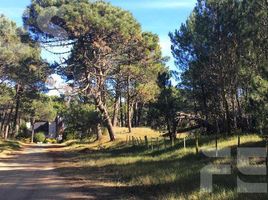  Land for sale in Pinamar, Buenos Aires, Pinamar