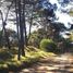  Land for sale in Pinamar, Buenos Aires, Pinamar