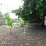  Land for rent in Bolivar, Cartagena, Bolivar