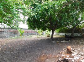  Land for rent in Bolivar, Cartagena, Bolivar