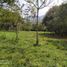  Land for sale in Barbosa, Antioquia, Barbosa