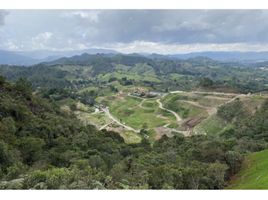 Terrain à vendre à La Ceja, Antioquia, La Ceja, Antioquia