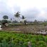  Land for sale in Sukawati, Gianyar, Sukawati