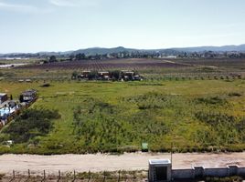  Grundstück zu verkaufen in Ensenada, Baja California, Ensenada