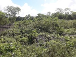  Terreno (Parcela) en venta en Merida, Yucatán, Merida, Yucatán
