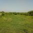  Land for sale in Montemorelos, Nuevo Leon, Montemorelos