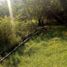  Land for sale in Montemorelos, Nuevo Leon, Montemorelos