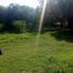  Land for sale in Montemorelos, Nuevo Leon, Montemorelos
