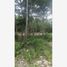  Terreno (Parcela) en venta en Cancún, Quintana Roo, Cancún
