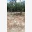  Terreno (Parcela) en venta en Cancún, Quintana Roo, Cancún