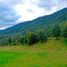  Land for sale in Chile, Los Lagos, Valdivia, Los Rios, Chile