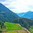  Land for sale in Chile, Los Lagos, Valdivia, Los Rios, Chile