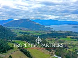  Land for sale in Chile, Los Lagos, Valdivia, Los Rios, Chile