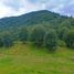  Land for sale in Chile, Los Lagos, Valdivia, Los Rios, Chile