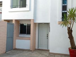Villa 3 chambre à louer à Culiacan, Sinaloa, Culiacan