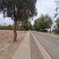  Terreno (Parcela) en venta en Chacabuco, Santiago, Colina, Chacabuco