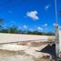  Grundstück zu verkaufen in Conkal, Yucatan, Conkal