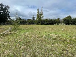  Land for sale in Los Rios, Mariquina, Valdivia, Los Rios