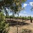  Land for sale in Dolores Hidalgo, Guanajuato, Dolores Hidalgo