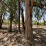  Land for sale in Dolores Hidalgo, Guanajuato, Dolores Hidalgo