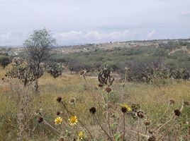  Grundstück zu verkaufen in Allende, Guanajuato, Allende