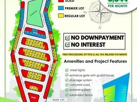  Land for sale in Bohol, Central Visayas, Dauis, Bohol