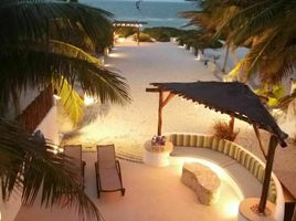 在Yucatan出租的3 卧室 屋, Dzemul, Yucatan