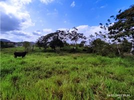 Studio Villa zu verkaufen in La Chorrera, Panama Oeste, Santa Rita, La Chorrera