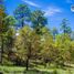  Land for sale in Mezquital, Durango, Mezquital