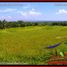  Land for sale in Selemadeg, Tabanan, Selemadeg