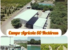  Grundstück zu verkaufen in Hermosillo, Sonora, Hermosillo