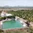  Grundstück zu verkaufen in Hermosillo, Sonora, Hermosillo