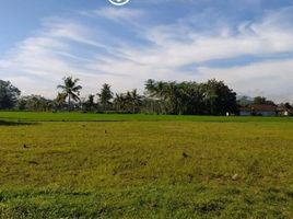  Land for sale in Sumbersari, Jember, Sumbersari