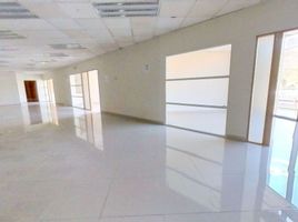 2,350 m2 Office for rent in Monterrey, Nuevo Leon, Monterrey