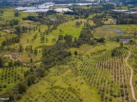  Land for sale in La Ceja, Antioquia, La Ceja