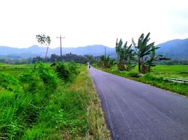  Land for sale in Pengasih, Kulon Progo, Pengasih