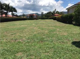  Land for sale in Rionegro, Antioquia, Rionegro