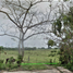  Land for sale in Gutierrez Zamora, Veracruz, Gutierrez Zamora