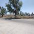  토지을(를) San Andres Cholula, 푸에블라에서 판매합니다., San Andres Cholula