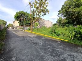  Land for sale in Yogyakarta, Mlati, Sleman, Yogyakarta