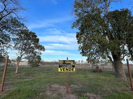  Land for sale in Mercedes, Buenos Aires, Mercedes