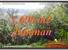  Land for sale in Selemadeg, Tabanan, Selemadeg