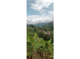  Land for sale in Neira, Caldas, Neira