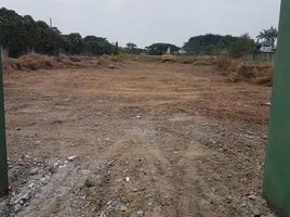  Land for sale in Samborondon, Guayas, Samborondon, Samborondon