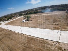  Terreno (Parcela) en venta en San Francisco Del Rincon, Guanajuato, San Francisco Del Rincon