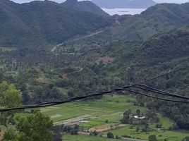  Tanah for sale in West Nusa Tenggara, Praya, Lombok Tengah, West Nusa Tenggara